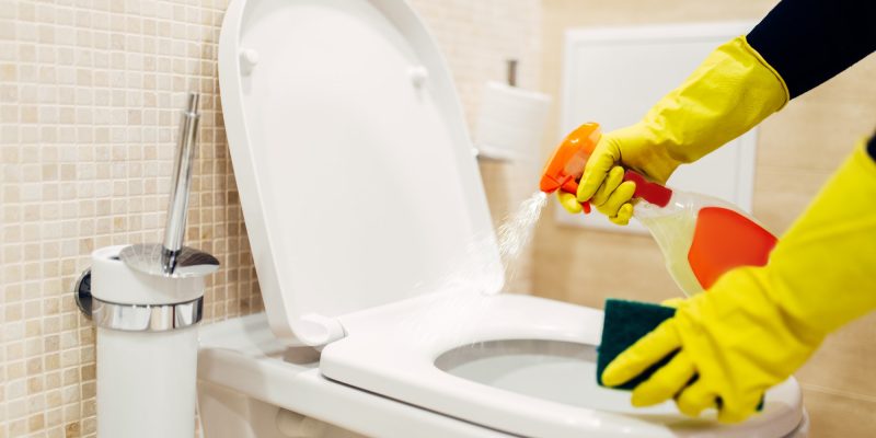 Maid cleans the bidet with a cleaning spray